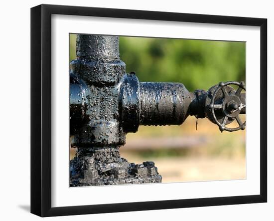 A Control Valve of an Oil Pump-null-Framed Photographic Print