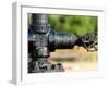 A Control Valve of an Oil Pump-null-Framed Photographic Print