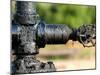 A Control Valve of an Oil Pump-null-Mounted Photographic Print