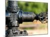 A Control Valve of an Oil Pump-null-Mounted Photographic Print