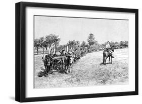 A Convoy of Wagons, South America, 1895-null-Framed Giclee Print