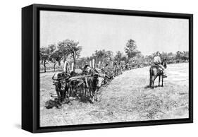 A Convoy of Wagons, South America, 1895-null-Framed Stretched Canvas
