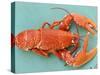 A Cooked Lobster-Alain Caste-Stretched Canvas