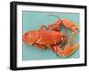 A Cooked Lobster-Alain Caste-Framed Photographic Print