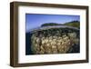 A Coral Reef Grows in Shallow Water in the Solomon Islands-Stocktrek Images-Framed Photographic Print