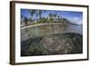 A Coral Reef Grows Near the Shore of Guadalcanal-Stocktrek Images-Framed Photographic Print