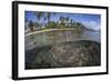 A Coral Reef Grows Near the Shore of Guadalcanal-Stocktrek Images-Framed Photographic Print