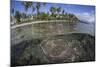 A Coral Reef Grows Near the Shore of Guadalcanal-Stocktrek Images-Mounted Photographic Print