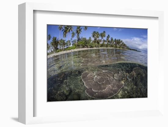 A Coral Reef Grows Near the Shore of Guadalcanal-Stocktrek Images-Framed Photographic Print
