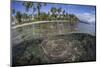 A Coral Reef Grows Near the Shore of Guadalcanal-Stocktrek Images-Mounted Photographic Print