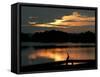 A Cormorant is Silhouetted Against the Waters of Lake Talquin-null-Framed Stretched Canvas