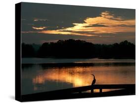 A Cormorant is Silhouetted Against the Waters of Lake Talquin-null-Stretched Canvas