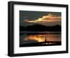 A Cormorant is Silhouetted Against the Waters of Lake Talquin-null-Framed Photographic Print