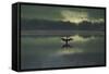 A Cormorant (Phalacrocorax Auritus) Stretches its Wings to Dry Them During Sunrise-Alex Saberi-Framed Stretched Canvas