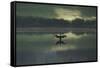 A Cormorant (Phalacrocorax Auritus) Stretches its Wings to Dry Them During Sunrise-Alex Saberi-Framed Stretched Canvas