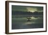 A Cormorant (Phalacrocorax Auritus) Stretches its Wings to Dry Them During Sunrise-Alex Saberi-Framed Photographic Print