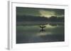 A Cormorant (Phalacrocorax Auritus) Stretches its Wings to Dry Them During Sunrise-Alex Saberi-Framed Photographic Print