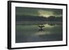 A Cormorant (Phalacrocorax Auritus) Stretches its Wings to Dry Them During Sunrise-Alex Saberi-Framed Photographic Print