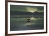 A Cormorant (Phalacrocorax Auritus) Stretches its Wings to Dry Them During Sunrise-Alex Saberi-Framed Photographic Print