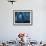 A cormorant swims through baitfish under the oil rigs in Southern California-Stocktrek Images-Framed Photographic Print displayed on a wall