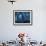 A cormorant swims through baitfish under the oil rigs in Southern California-Stocktrek Images-Framed Photographic Print displayed on a wall