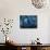 A cormorant swims through baitfish under the oil rigs in Southern California-Stocktrek Images-Mounted Photographic Print displayed on a wall