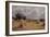 A Cornfield at Harlow, Essex-Henry Parker-Framed Giclee Print