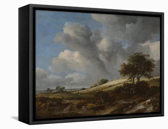 A Cornfield with the Zuiderzee in the Background, C. 1660-Jacob Isaacksz Van Ruisdael-Framed Stretched Canvas