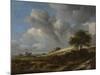 A Cornfield with the Zuiderzee in the Background, C. 1660-Jacob Isaacksz Van Ruisdael-Mounted Giclee Print