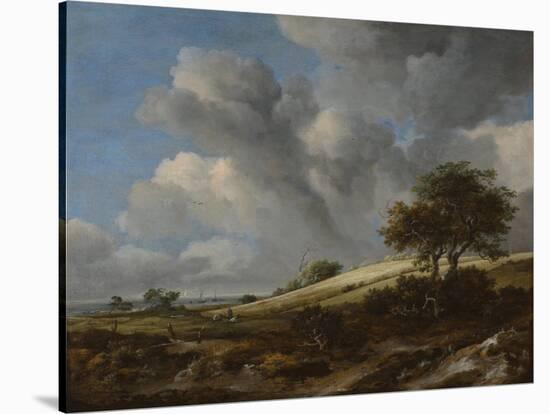 A Cornfield with the Zuiderzee in the Background, C. 1660-Jacob Isaacksz Van Ruisdael-Stretched Canvas