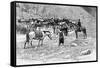 A Corral, Patagonia, Argentina, 1895-Alfred Paris-Framed Stretched Canvas