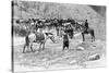 A Corral, Patagonia, Argentina, 1895-Alfred Paris-Stretched Canvas