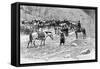 A Corral, Patagonia, Argentina, 1895-Alfred Paris-Framed Stretched Canvas