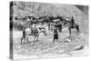 A Corral, Patagonia, Argentina, 1895-Alfred Paris-Stretched Canvas