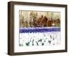 A Cottage and a Field of Hyacinths-George Hitchcock-Framed Giclee Print