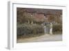 A Cottage at Haslemere-Helen Allingham-Framed Giclee Print