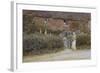 A Cottage at Haslemere-Helen Allingham-Framed Giclee Print