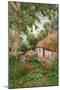 A Cottage Garden-Tom Clough-Mounted Giclee Print