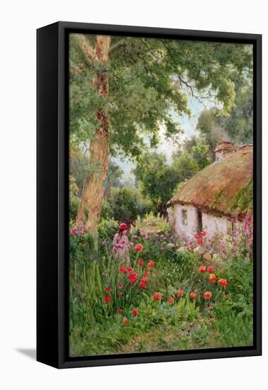 A Cottage Garden-Tom Clough-Framed Stretched Canvas