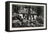 A Cottage in the Bush, Cape Colony, South Africa-null-Framed Stretched Canvas