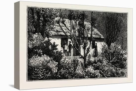 A Cottage in the Bush, Cape Colony, South Africa-null-Stretched Canvas