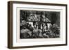 A Cottage in the Bush, Cape Colony, South Africa-null-Framed Giclee Print