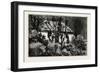 A Cottage in the Bush, Cape Colony, South Africa-null-Framed Giclee Print