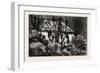 A Cottage in the Bush, Cape Colony, South Africa-null-Framed Giclee Print