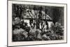 A Cottage in the Bush, Cape Colony, South Africa-null-Mounted Giclee Print