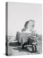 A Cotton Picker Unloading its Contents into a Truck-null-Stretched Canvas