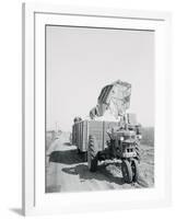 A Cotton Picker Unloading its Contents into a Truck-null-Framed Photographic Print