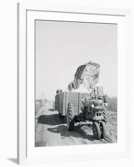 A Cotton Picker Unloading its Contents into a Truck-null-Framed Photographic Print