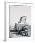 A Cotton Picker Unloading its Contents into a Truck-null-Framed Photographic Print