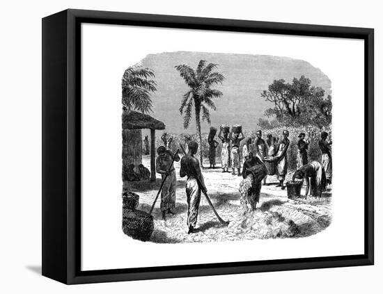 A Cotton Plantation, C1880-null-Framed Stretched Canvas
